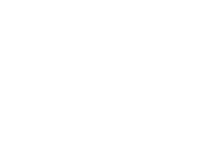 Wallace-Real-Estate-Logo---White